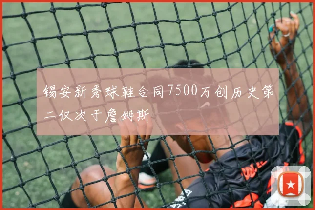 锡安新秀球鞋合同7500万创历史第二仅次于詹姆斯