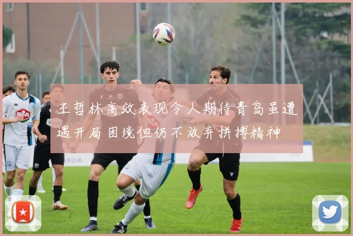 王哲林高效表现令人期待青岛虽遭遇开局困境但仍不放弃拼搏精神