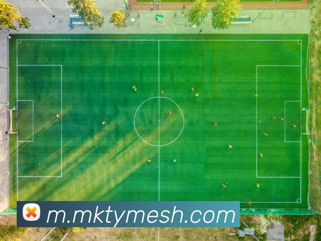 奖项图2