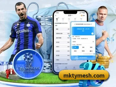 MK体育 APP